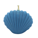 Shell Candle | شمعة الصدفة