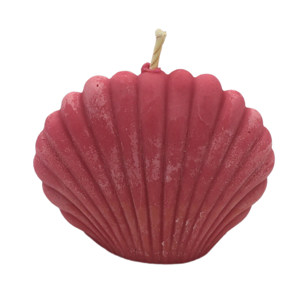 Shell Candle | شمعة الصدفة